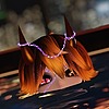 Lazytancat75's avatar
