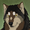 lazywolf's avatar