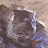 LegendaryUmbra's avatar