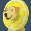 LemonLabrador's avatar