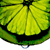 lemonlogix's avatar