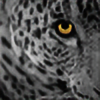 Leopardfire1's avatar