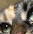 leroycat's avatar