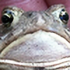 LethargicToad's avatar