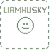 LiamHusky's avatar