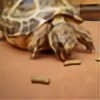 like-a-turtle's avatar
