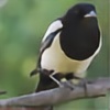 Lil-Magpie's avatar