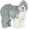 Lilac-Valley-Kennels's avatar