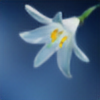 lilee-art's avatar