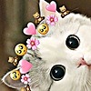 lilkitty479's avatar