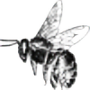 Lille-Bee's avatar