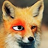 LilRunningFox's avatar