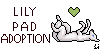Lily-Pad-Adoption's avatar