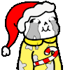 lilyhewwo