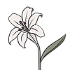 LilyMakura's avatar
