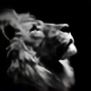 Lion2408's avatar