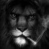 Lion994's avatar