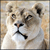 Lioness-Nala's avatar