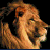 LionsDefense's avatar