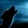 lionswolfsnake's avatar