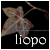liopo's avatar