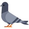 lithxe's avatar