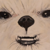 LittleAnimalCracker's avatar