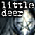 littledeer's avatar
