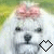 littlepuppyeyes's avatar