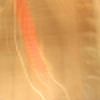 LittleSilverBones's avatar