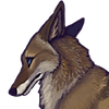 littleyote's avatar