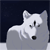 Livid-Star's avatar