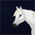 LividStarStables's avatar