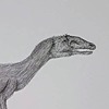 lizardosarus's avatar