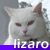 lizaro's avatar