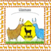 Llama0's avatar