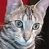 LoadedGunPP's avatar