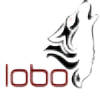 loboARG's avatar
