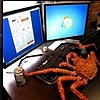 LobsterFlying52's avatar