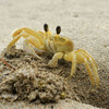 LobsterQuoter's avatar