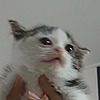 localfailure's avatar
