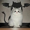 loccomama's avatar