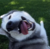 Longneckeddog's avatar