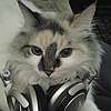 loonlings's avatar
