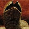 LordShaihulud138's avatar