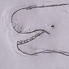 lorikorotum's avatar