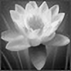 lotus-notes's avatar