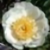 lotusqueen's avatar