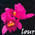 lourscissorhands's avatar