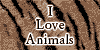Love-For-Animals's avatar